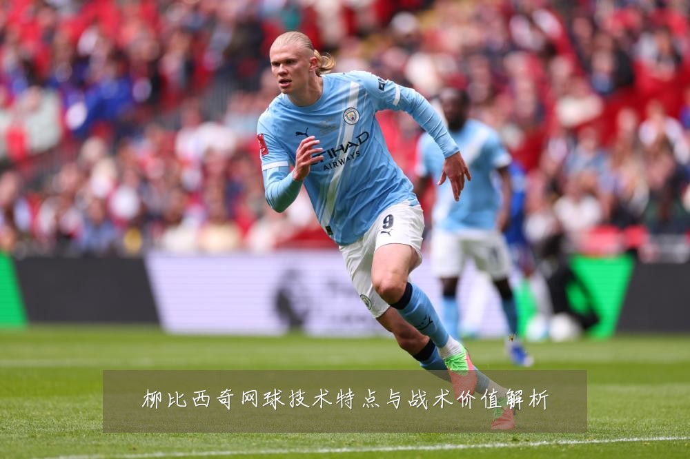 柳比西奇网球技术特点与战术价值解析